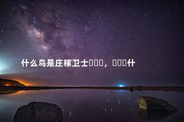 什么鸟是庄稼卫士，什么鸟是捕鱼能手